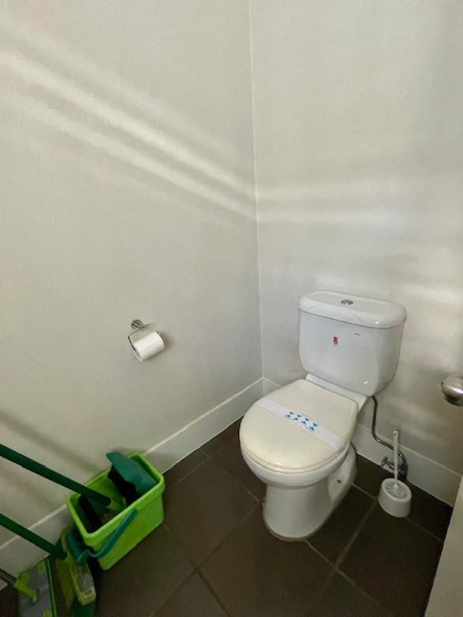 Laundry Toilet